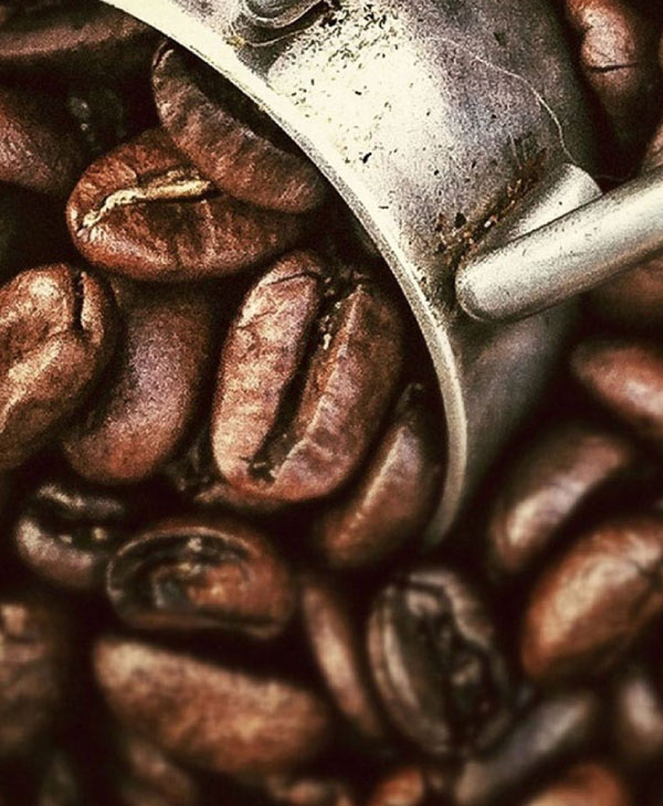 El sabor económico del café en Guatemala | Universidad da Vinci de Guatemala