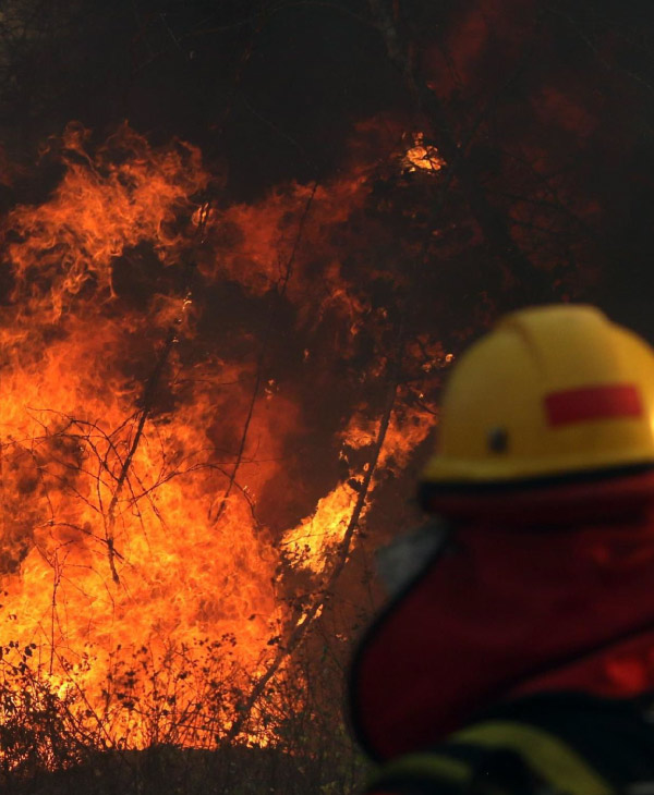 ¿Se están combatiendo los incendios en el Amazonas? | Universidad da Vinci de Guatemala