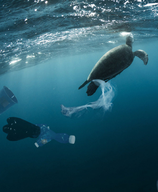 ¿En qué año habrá más plásticos que peces en los mares? | Universidad da Vinci de Guatemala