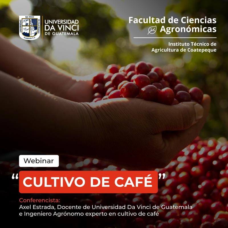 Imagen de dos manos tomando granos de café de un costal con un degrade en negro con transparencia con el texto webinar cultivo de café.