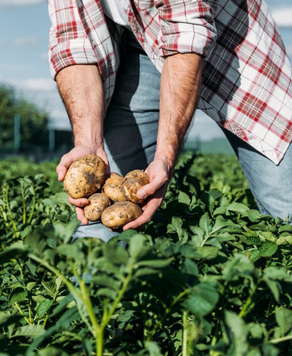 Agronomía en línea | Universidad da Vinci de Guatemala