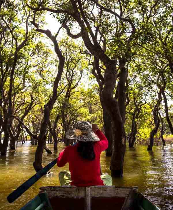 Día Internacional de la defensa del Ecosistema Manglar | Universidad da Vinci de Guatemala