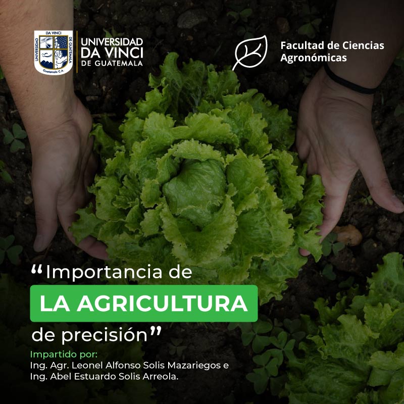 Imagen en primer plano de una lechuga sostenida entre dos manos con un degrade en negro con transparencia, con el texto importancia de la agricultura de precisión.