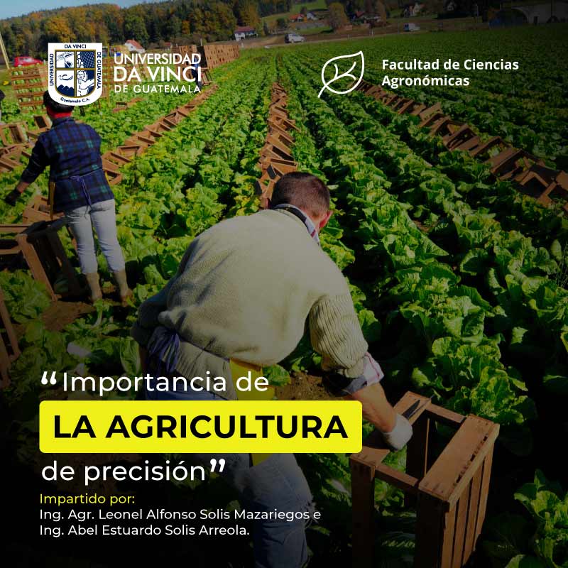 Imagen de un campo de agricultura al fondo y en primer plano un agricultor arrodillado en el suelo observando la plantación con el texto la importancia de la agricultura de precisión.