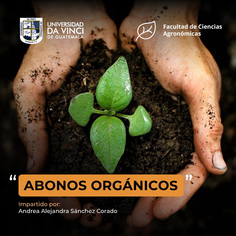 otografía de plano cenital de dos manos sosteniendo una siembre de una planta con el texto abonos orgánicos.