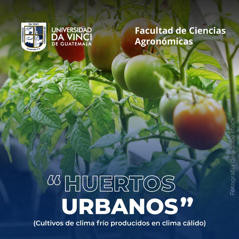 Huertos Urbanos | Cultivos de clima frío producidos en clima cálido