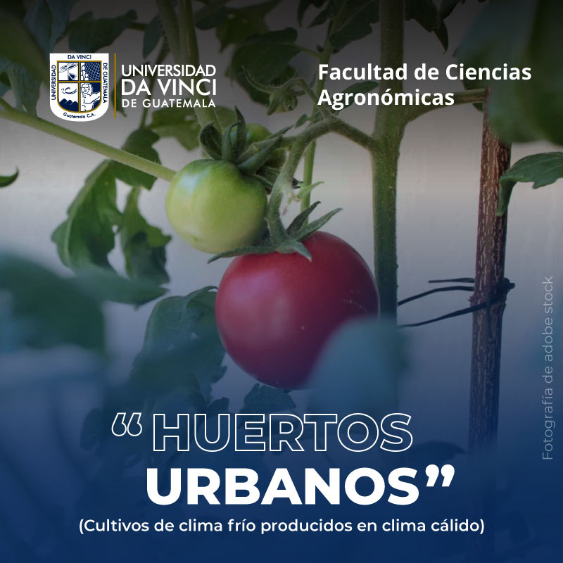 Huertos Urbanos | Cultivos de clima frío producidos en clima cálido