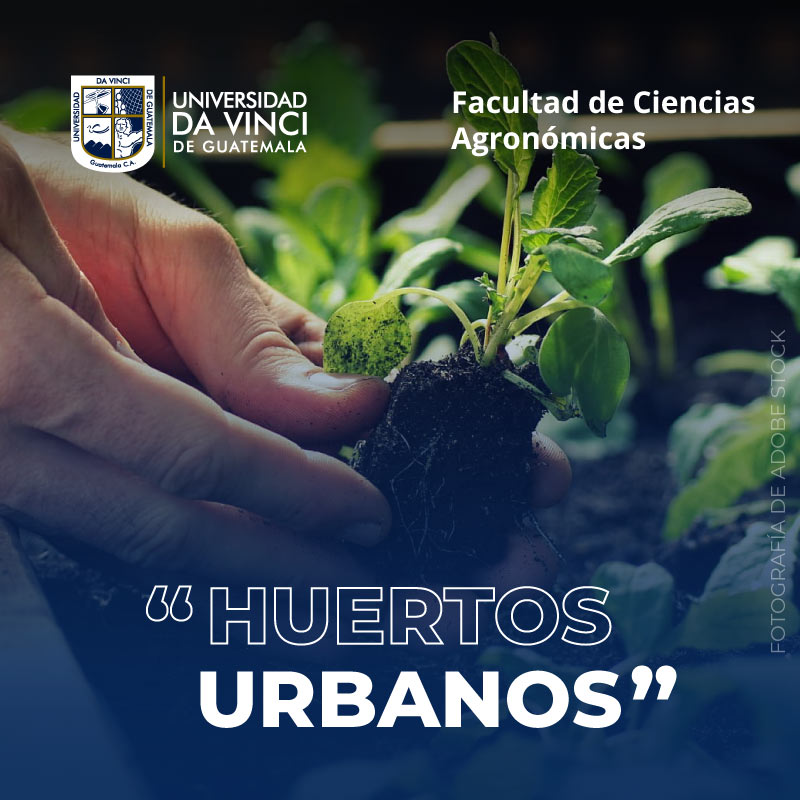 Taller Huertos Urbanos