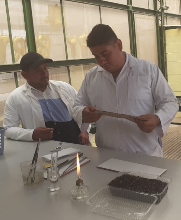 Alumnos de Ingeniería Agronómica visitaron el Laboratorio Ovalle del ICTA en Quetzaltenango | Universidad da Vinci de Guatemala