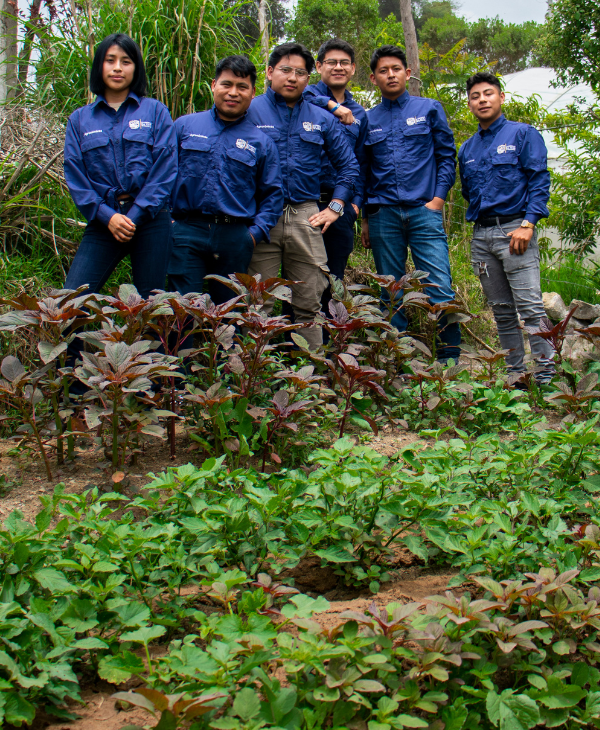 Alumnos de Ingeniería Agronómica de Sede Quetzaltenango dan seguimiento a plantaciones | Universidad da Vinci de Guatemala