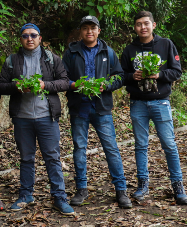 Alumnos de la Facultad de Ingeniería Agronómica Sede Quetzaltenango realizan exitosa actividad de reforestación | Universidad da Vinci de Guatemala