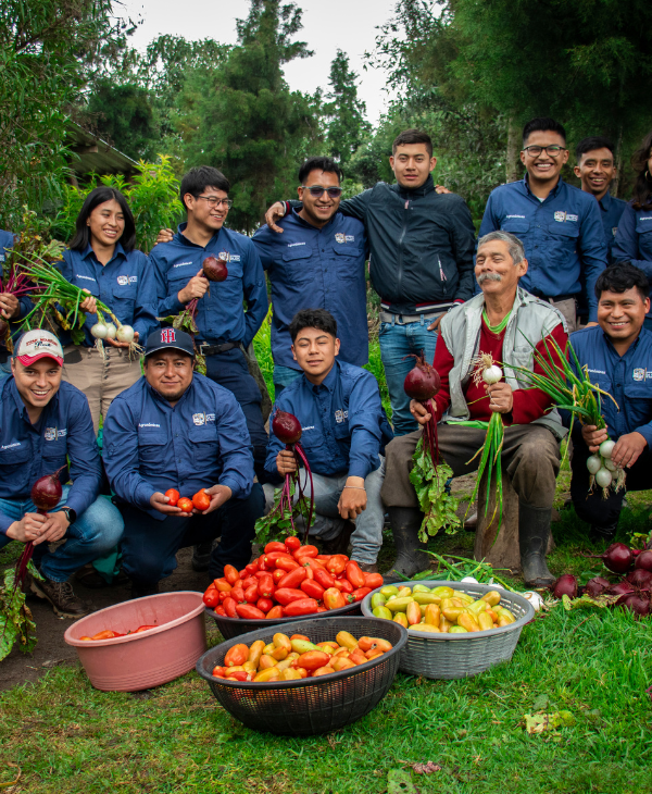 Alumnos de Ingeniería Agronómica Sede Quetzaltenango cosechan hortalizas 100% orgánicas | Universidad da Vinci de Guatemala