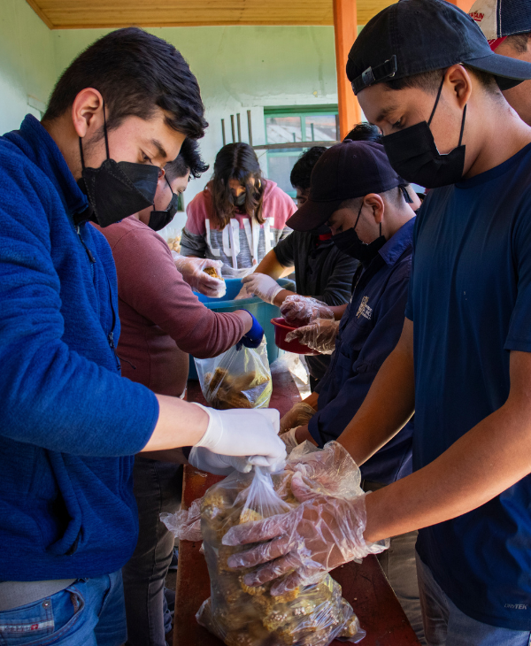 Taller de Producción de Hongos Ostra | Universidad da Vinci de Guatemala