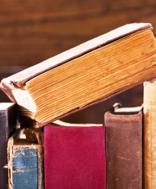 Descubre cómo Leonardo Impactó en las Letras