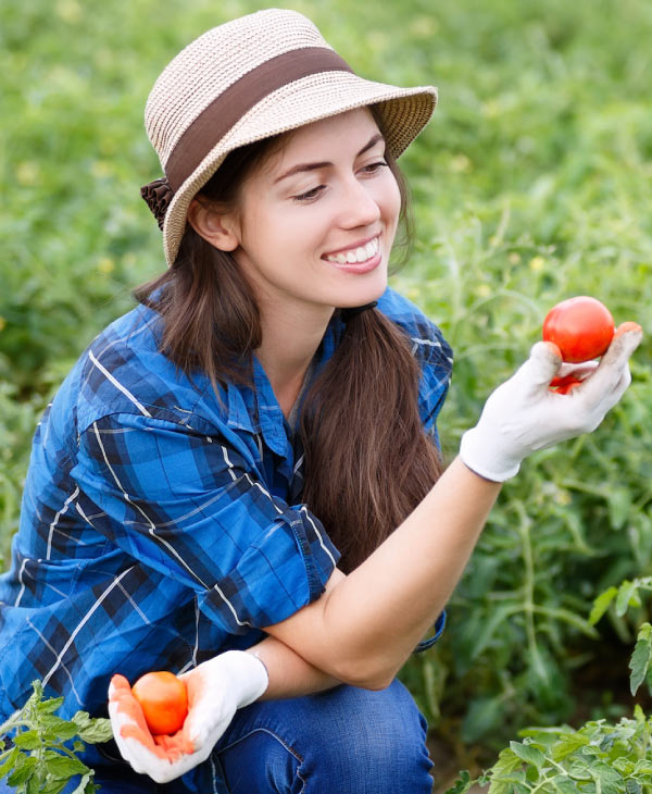 La agronomía es equitativa