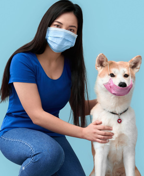 Cómo cuidar a las mascotas durante la cuarentena