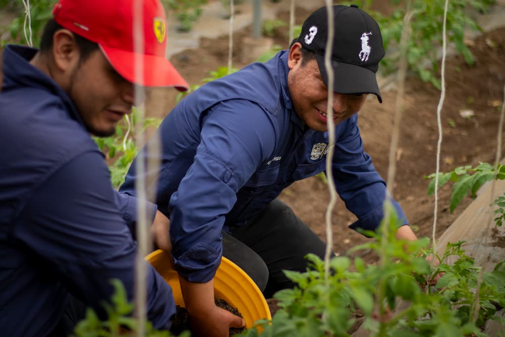 En la visita los alumnos pudieron interactuar con los agricultores de la Asociación Komoon Samaaj, quienes se dedican a la producción de tomate bajo condiciones controladas.