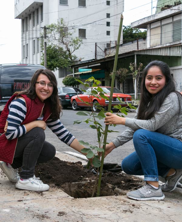 Dos mujeres, un árbol, carros, edificios.