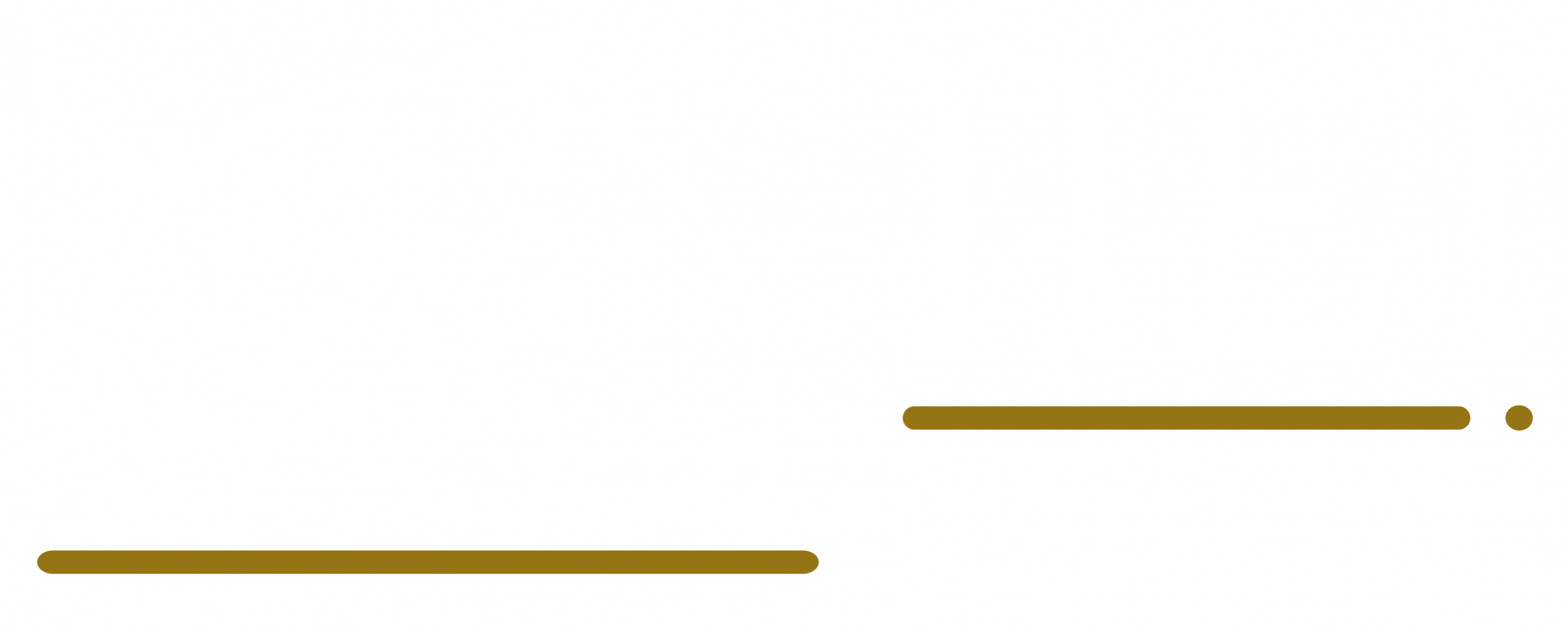 Instituto de Idiomas y Estudios Internacionales